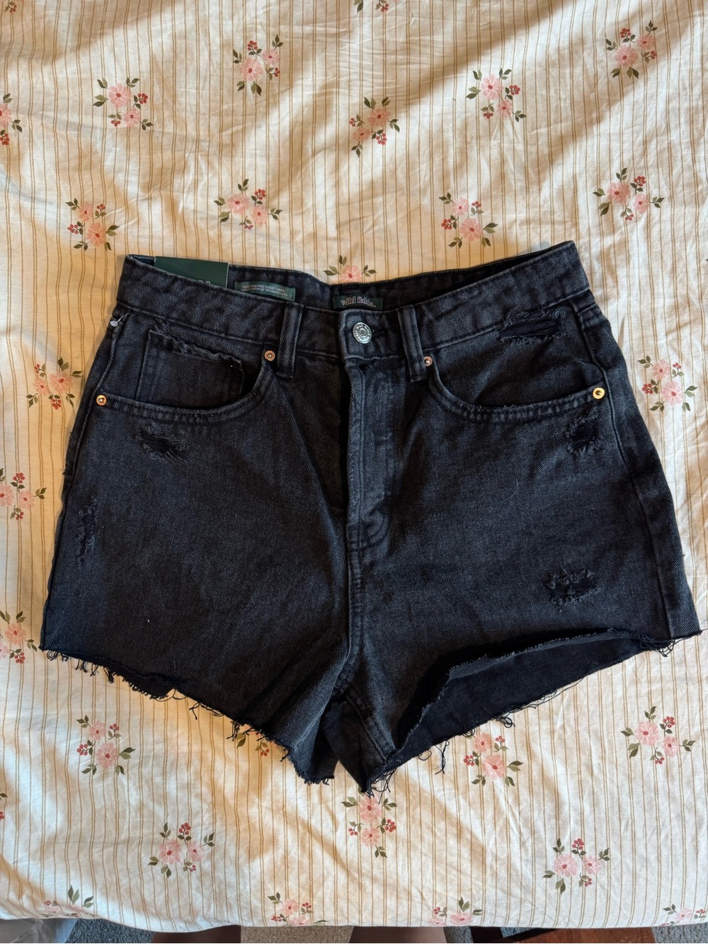 wild fable Black High-Waist Distressed Denim Cutoff Shorts